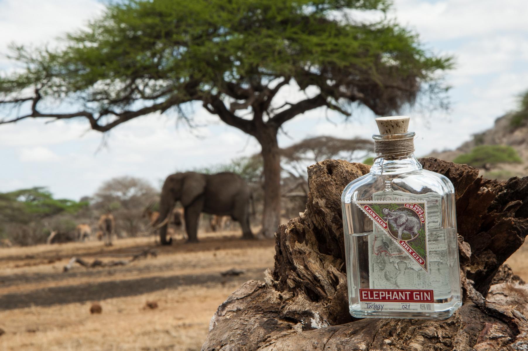 Elephant Gin im Vordergrund, Elefant im Hintergrund