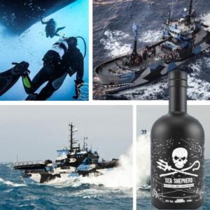 Tierschutz und maritimer Genuss in einem: Sea Shepherd Islay Single Malt Whisky