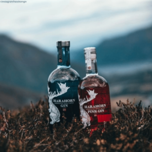 Der Geheimtipp aus Skandinavien: Harahorn Gin