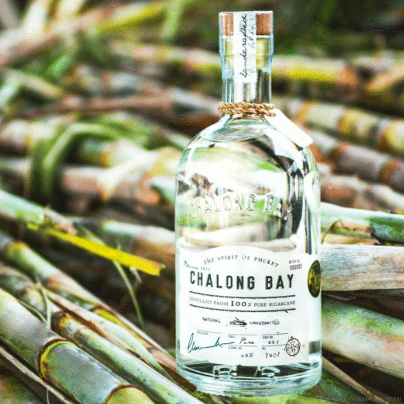 Chalong Bay Moodbild - Flasche steht auf gefälltem Bambus oder Zuckerrohr