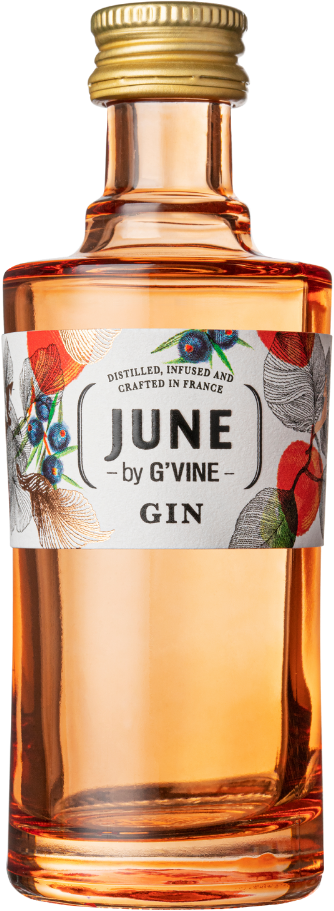 June by G Vine Gin Liquer MINI 30% 0,05L