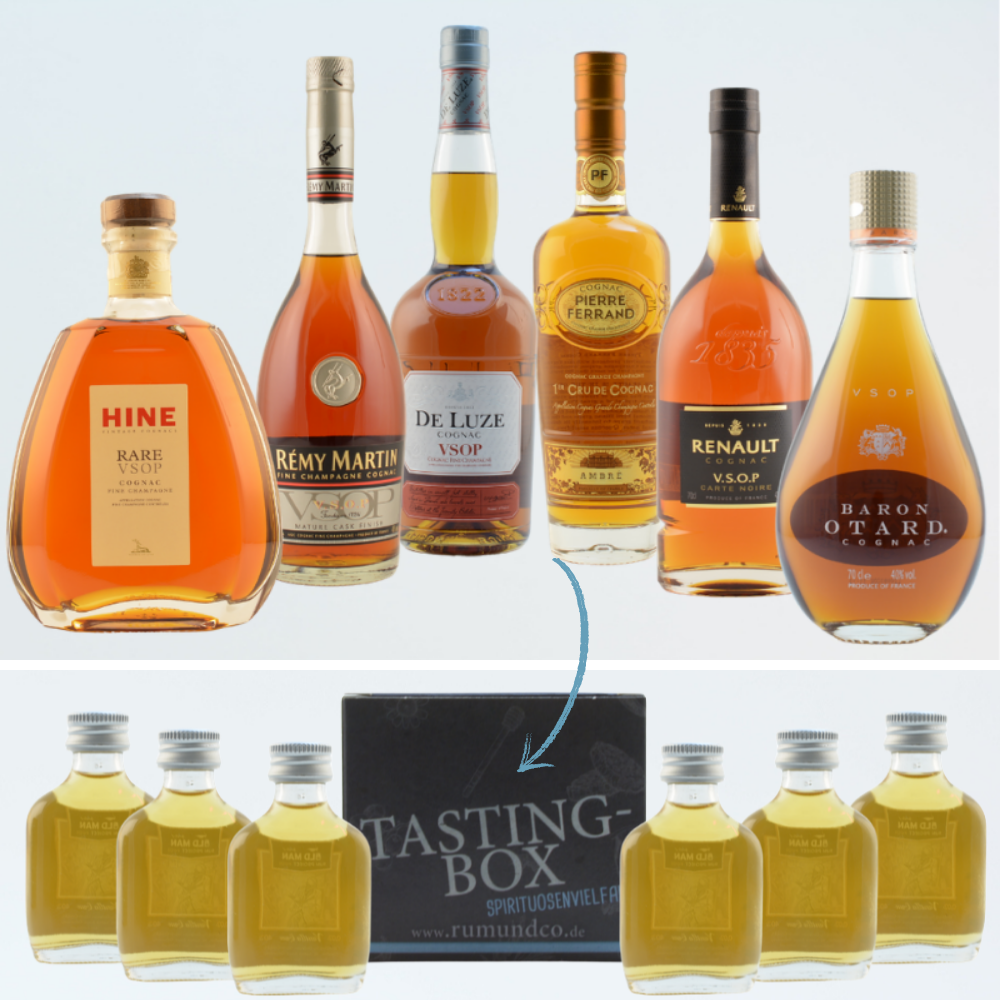 Cognac Tasting Set: Einsteiger Box Nr. 1 6x0,02l