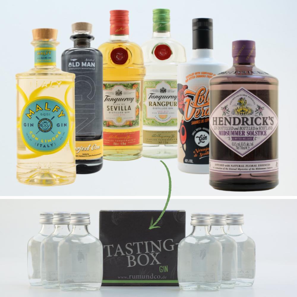Gin Tasting Set: Einstieg Box Nr. 2 6x0,02l